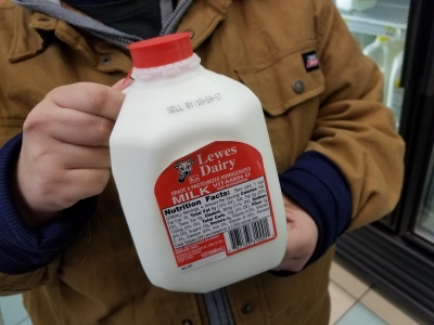 Quart-sized jug of milk, with Elyse for scale.