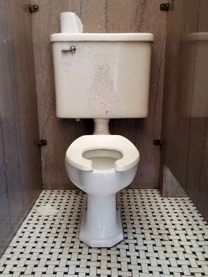 Vintage toilet at the Masonic Building
