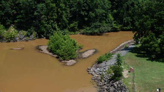 The water in the Patuxent River downstream from the dam was very muddy.  Guessing that this has to do with the rehabilitation project as well, since the water was clearer with a greenish tinge to it in my previous visits.