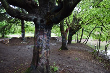 Tagged trees