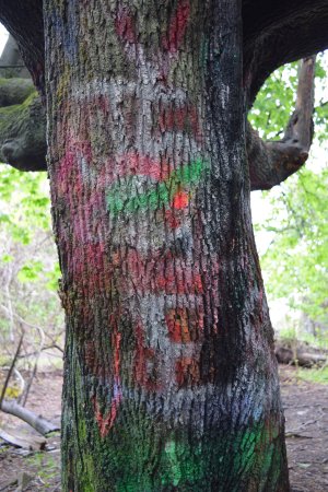 Tagged tree