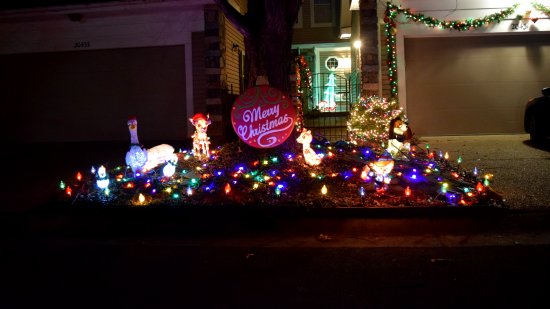 In another neighborhood across East Village Avenue, this was the only house that was decorated.  In this case, they did the space around the entrance.