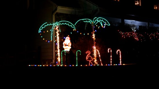 In a neighborhood of single-family houses, this one stuck out due to the more tropical theme.  Palm trees and a flamingo!