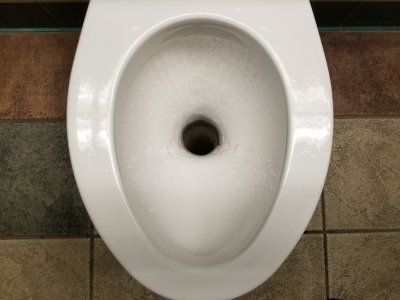 This toilet, unlike most, has a straight pipe leading out of it.  Also, note the foam in the bowl.  Rather than a manual or automatic flush mechanism, this toilet has a continuous flow of foam from the lip under the bowl going down to the pipe.