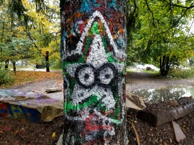 Star graffiti that we found on a tree near the top of the Graffiti Highway.