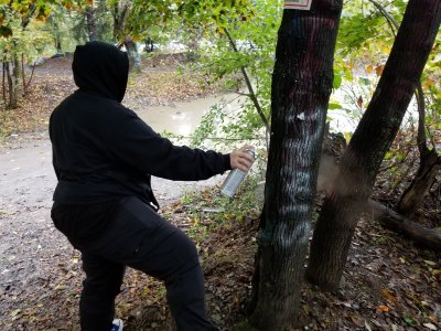 Elyse tags a tree.