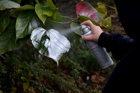 Seeing this, Elyse sprayed a few leaves with her silver paint.