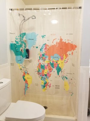 The new shower curtain