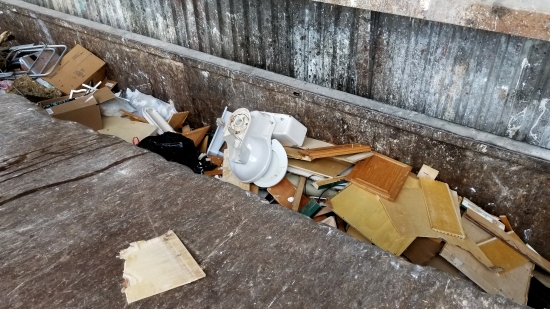 Elyse's old toilet in the dumpster at the Shady Grove Transfer Station.