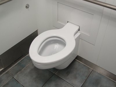 The toilet seat, fully deployed