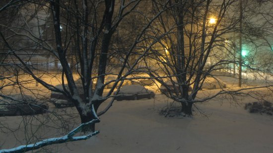 Snow coming down on Hewitt Avenue, seen from my apartment balcony, about four hours after the storm began.