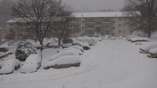 The next afternoon, snow has blanketed Hewitt Gardens Apartments.  We had more than a foot of snow at this point.