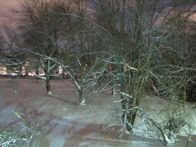 The vacant lot next to my building, after the snow had stopped, and the clouds had begun to clear.