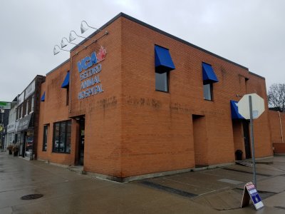 Secord Animal Hospital, where Sam and Jodie took Penelope for a checkup in "Pets".