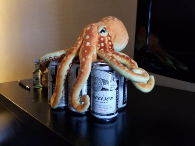 Woomy guards a six-pack of non-alcoholic Budweiser at the hotel in Toronto.  When we asked him about it, all he said was, "I don't like that!"