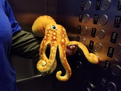Elyse helps Woomy press the button for the lobby in a building in Toronto.  The button earned Woomy's seal of disapproval, as he simply said, "I don't like that!"