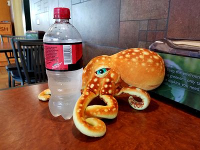 Woomy inspects a bottle of Mountain Dew at Sheetz in Frederick.  The verdict was, "I don't like that!"