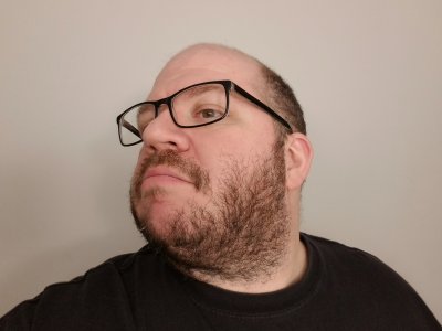 The final beard, after 29 days of growth