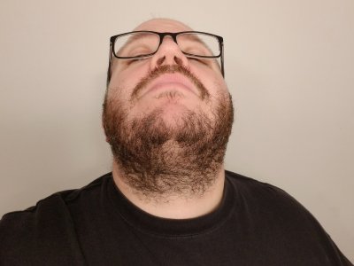 The final beard, after 29 days of growth