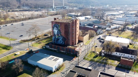 A former ice house in downtown Waynesboro, painted up with a mural.