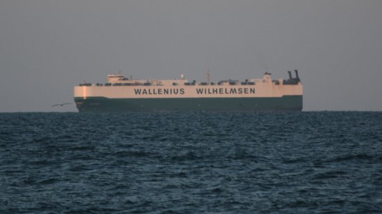 The second ship was operated by Wallenius Wilhelmsen, but unfortunately, my camera couldn't resolve the name because of distance.