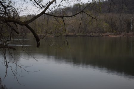 Stacked image of the Potomac River downstream from the Point of Rocks Bridge