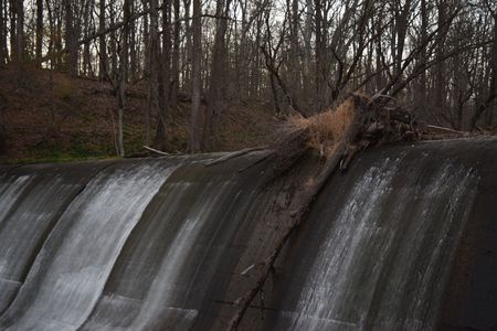 Burnt Mills Dam