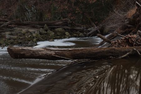 Burnt Mills Dam