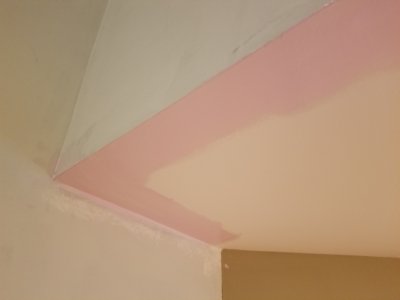 The pink paint on the ceiling of the living room