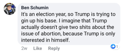 "It's an election year, so Trump is trying to gin up his base. I imagine that Trump actually doesn't give two shits about the issue of abortion, because Trump is only interested in himself."