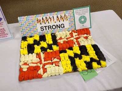 Peeps in the shape of a Maryland flag, because Maryland.