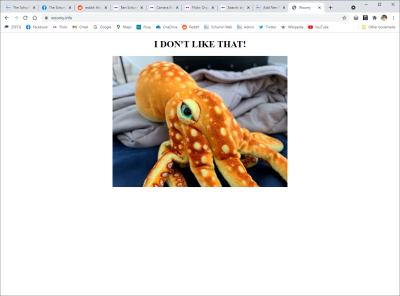 Woomy's website, as it currently stands