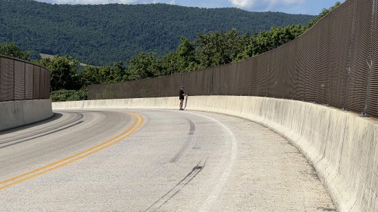 Elyse got a photo of me checking the fence for openings.