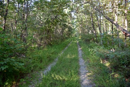 The trail to Mills Creek Reservoir