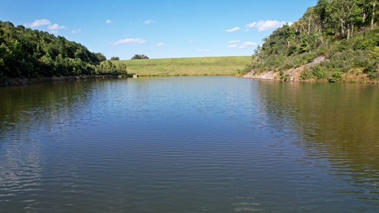 Skimming over the surface of the water.