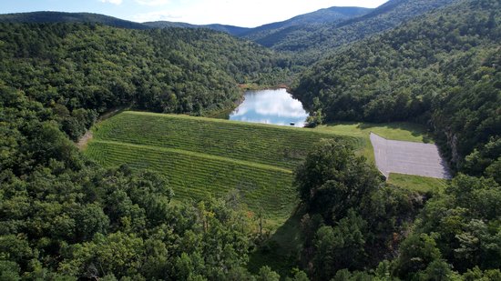 The dam for this reservoir is an embankment dam, with grass growing on both sides.