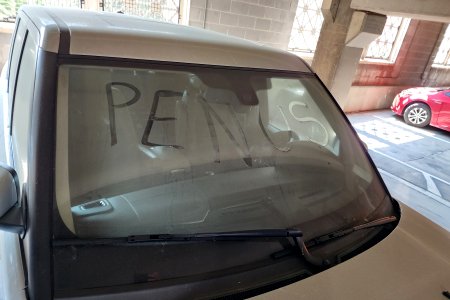 "PENUS" on the windshield of the Range Rover