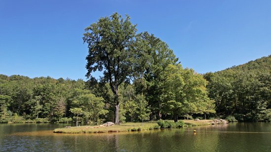 A small island in the middle of the lake.