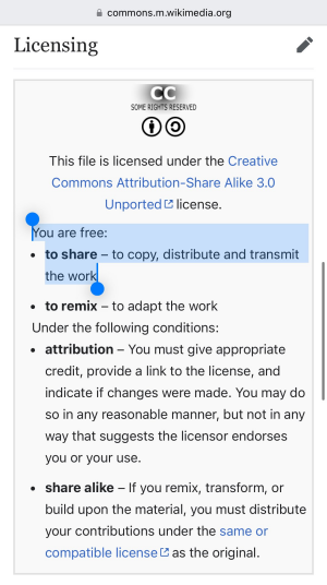 Creative Commons information from Wikimedia Commons. Highlighted text appears in Lorusso's original post.