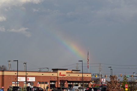 The rainbow after the storm.