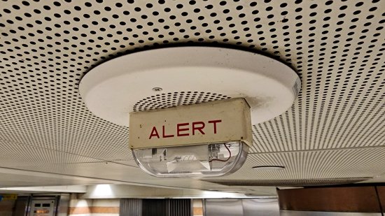 Wheelock speaker/strobe with "ALERT" lettering