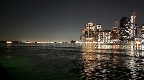 The view from Brooklyn Bridge Park.