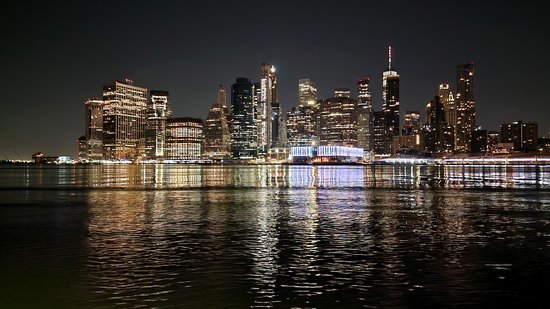 The view from Brooklyn Bridge Park.