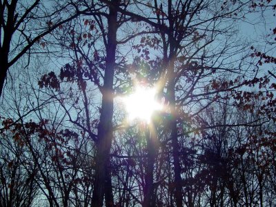 I remember liking this photo a lot when I took it back in 2003, showing the sun shining through the trees.  Now, in 2023, I can't help but see all of the extra color around the sunlight that I would rather not have in there.