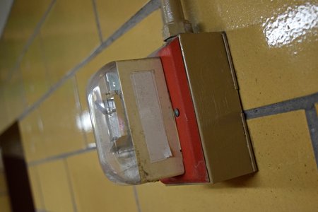 Fire alarm strobe in said restroom.  This was a Wheelock LS1-24-VFR strobe, and in typical Cathedral of Learning fashion, the "FIRE" lettering is covered over.