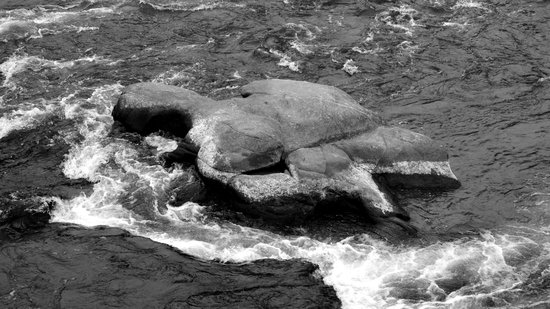 A large rock in the James River.