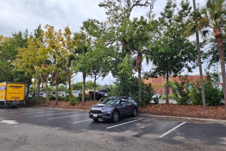 The HR-V parked amongst some palmettos.