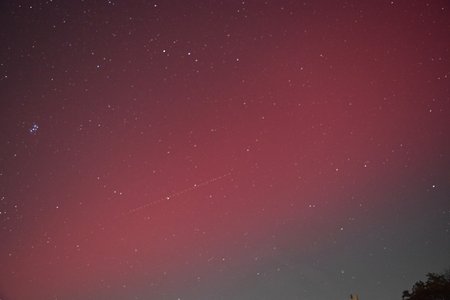 The aurora borealis, as viewed through my DSLR.