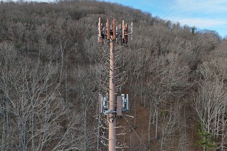 Disguised cell phone tower in Hot Springs, Virginia.