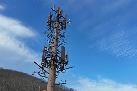 Disguised cell phone tower in Hot Springs, Virginia.